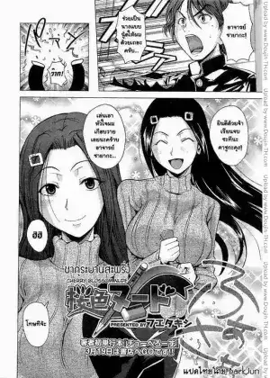 ดอกซากุระที่บานสะพรั่ง
