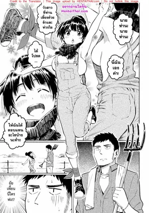 แม่วัวตัวดี